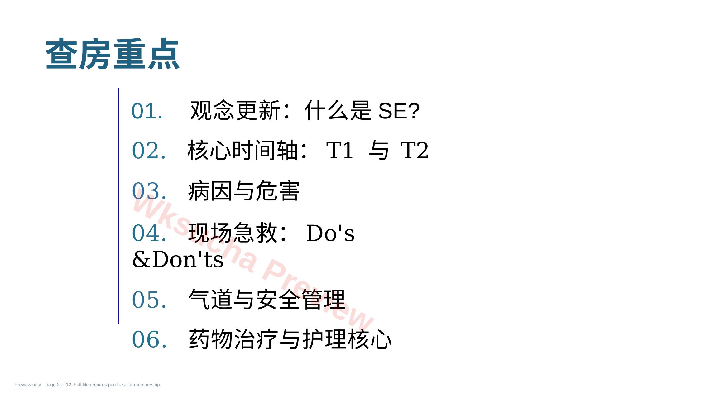 预览第 2 页