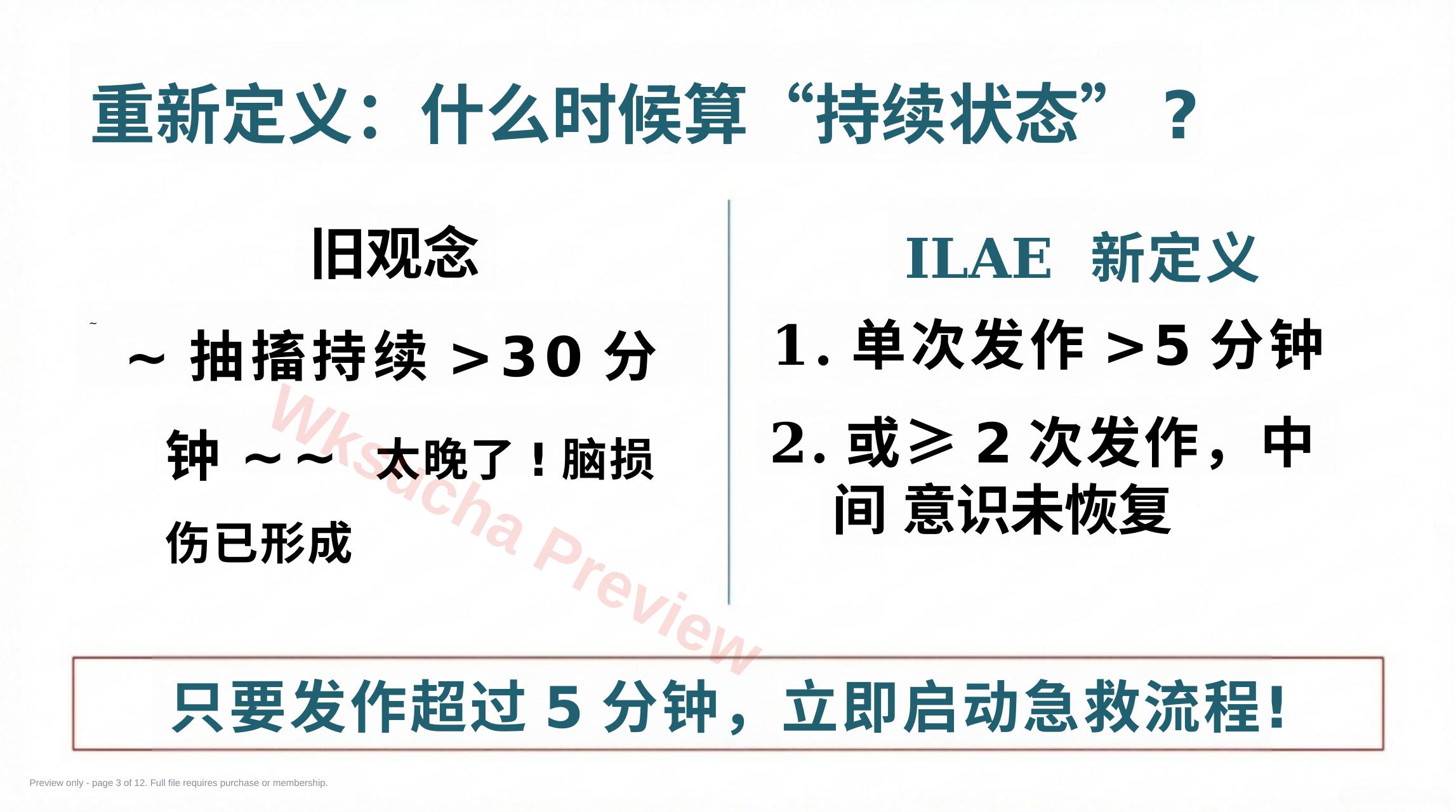 预览第 3 页