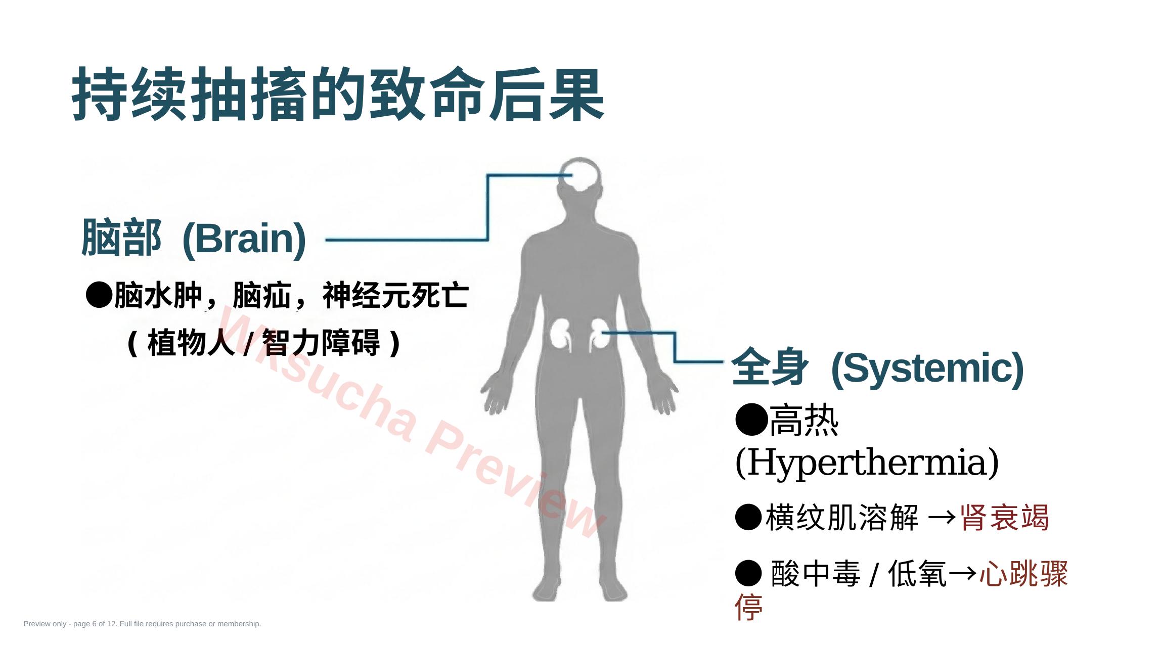 预览第 6 页
