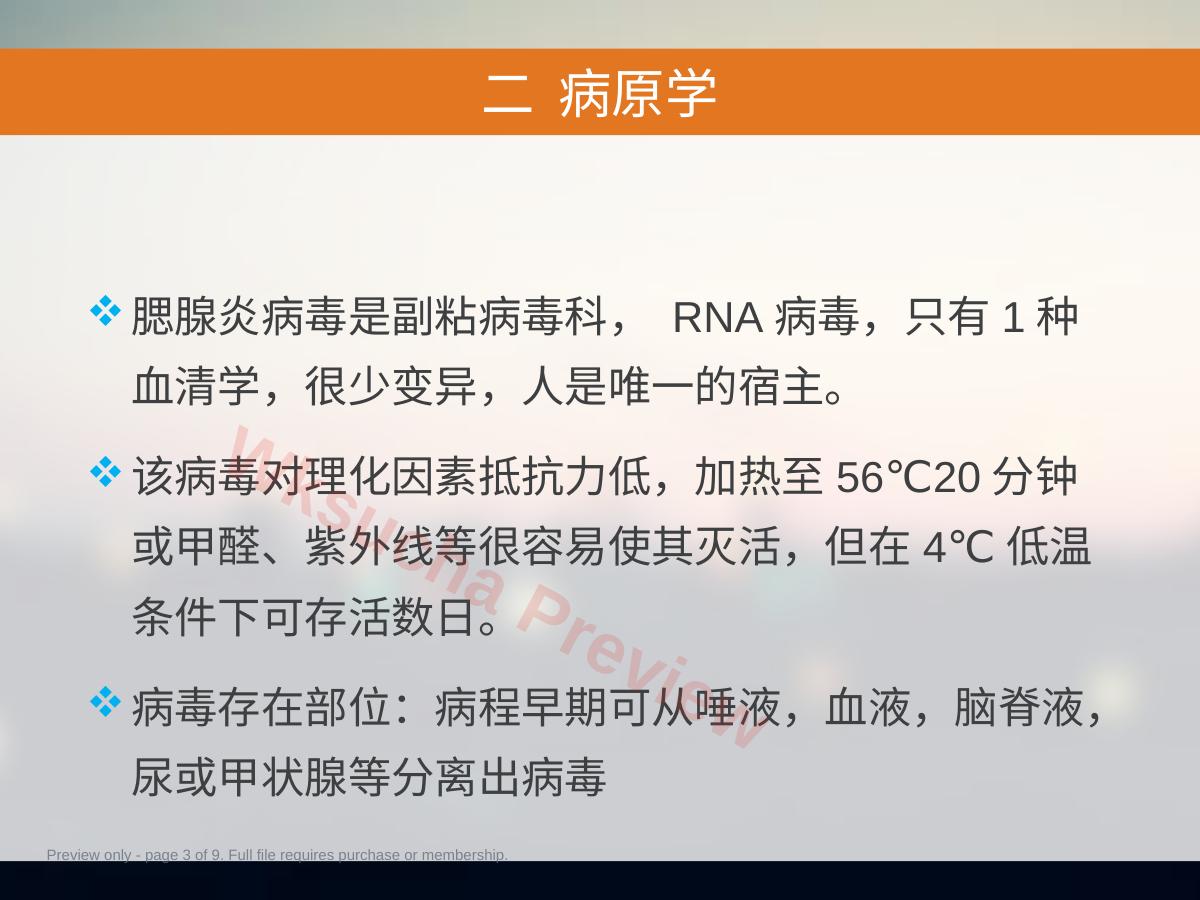 预览第 3 页