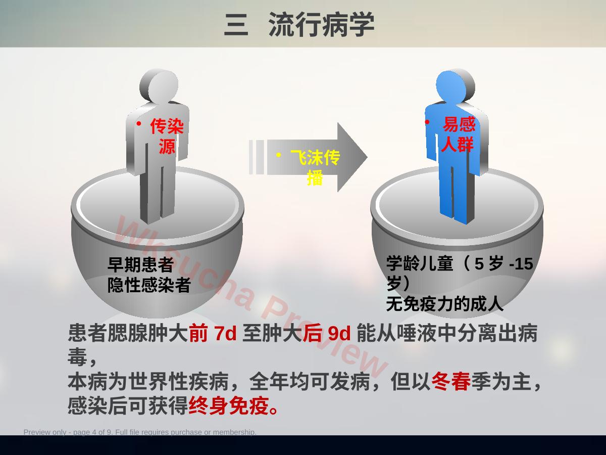 预览第 4 页
