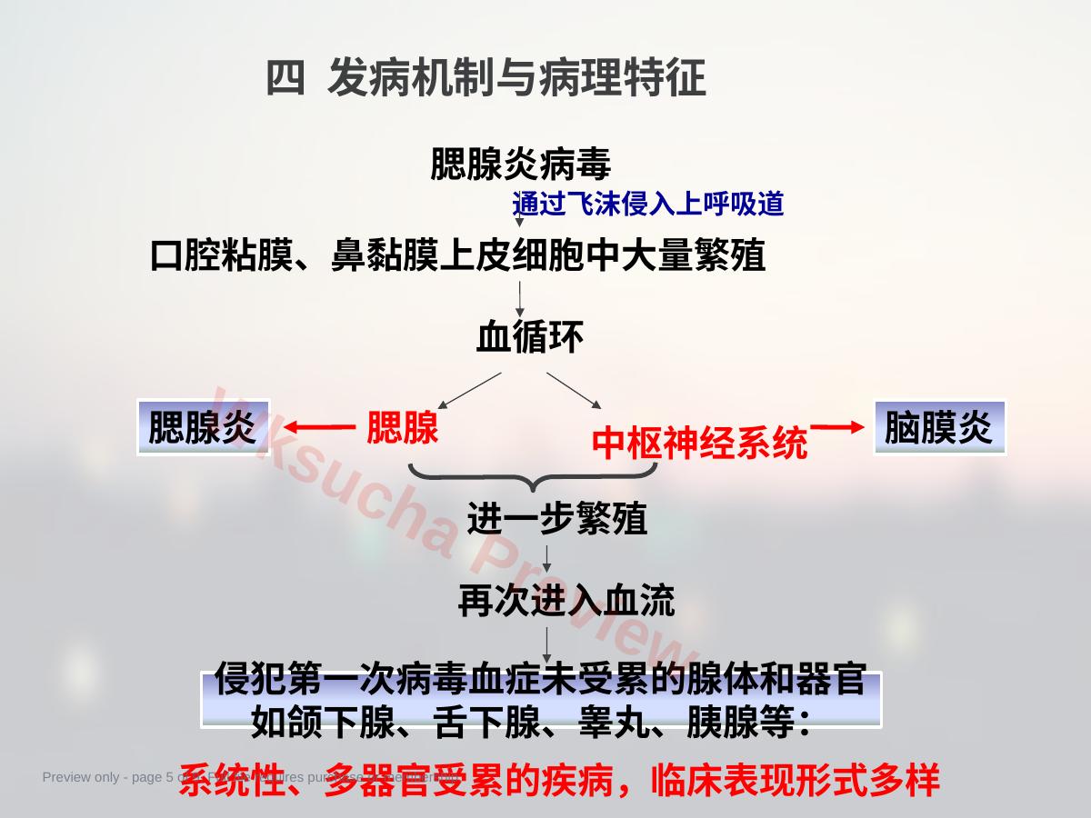 预览第 5 页