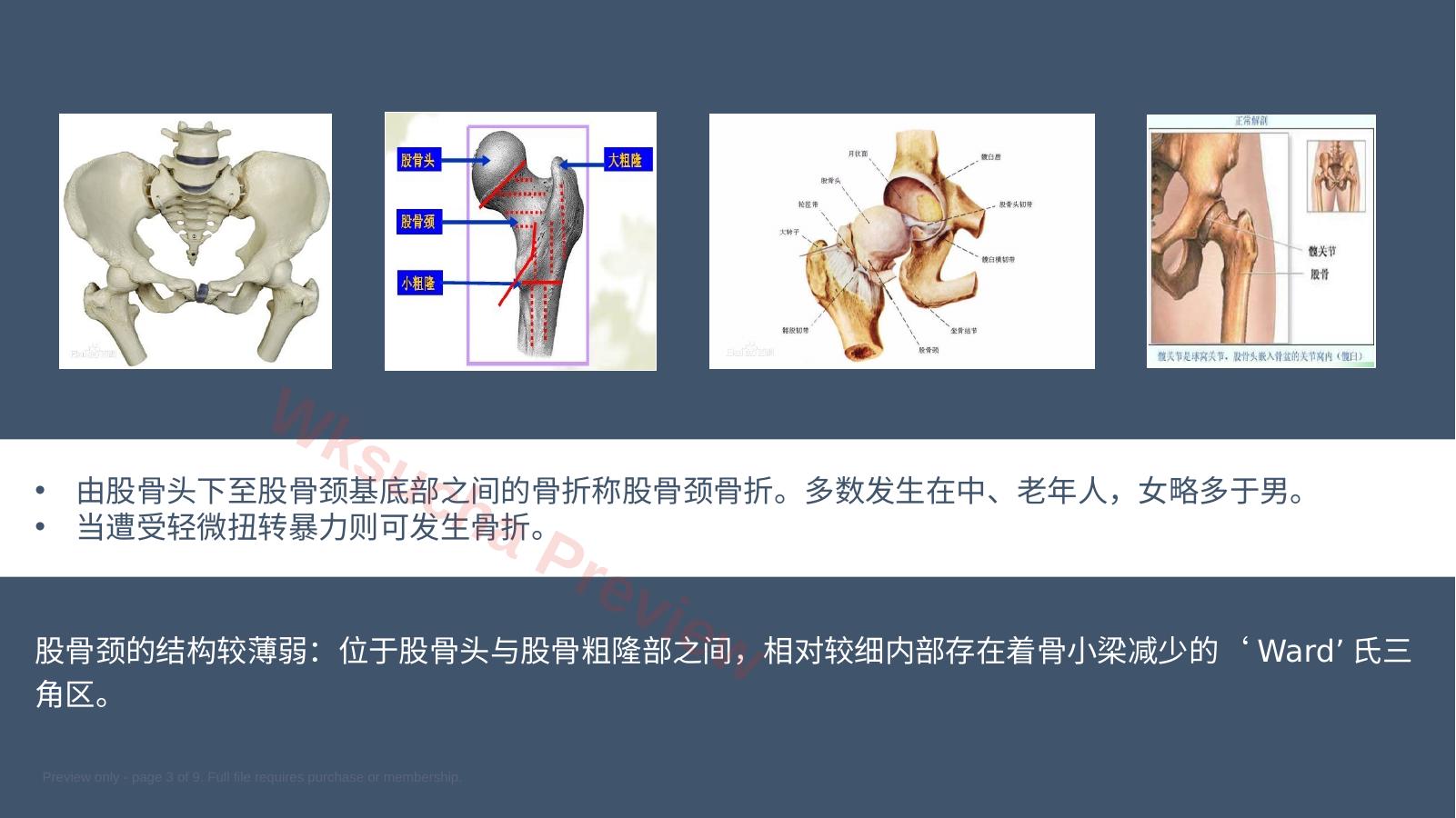预览第 3 页
