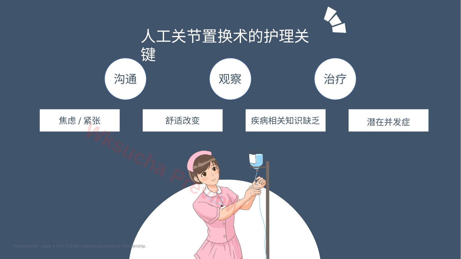 预览第 4 页