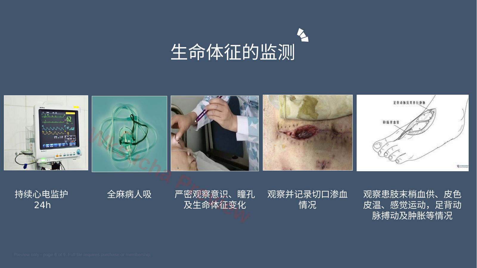 预览第 6 页