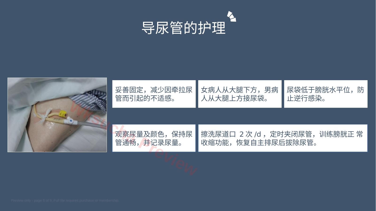 预览第 8 页