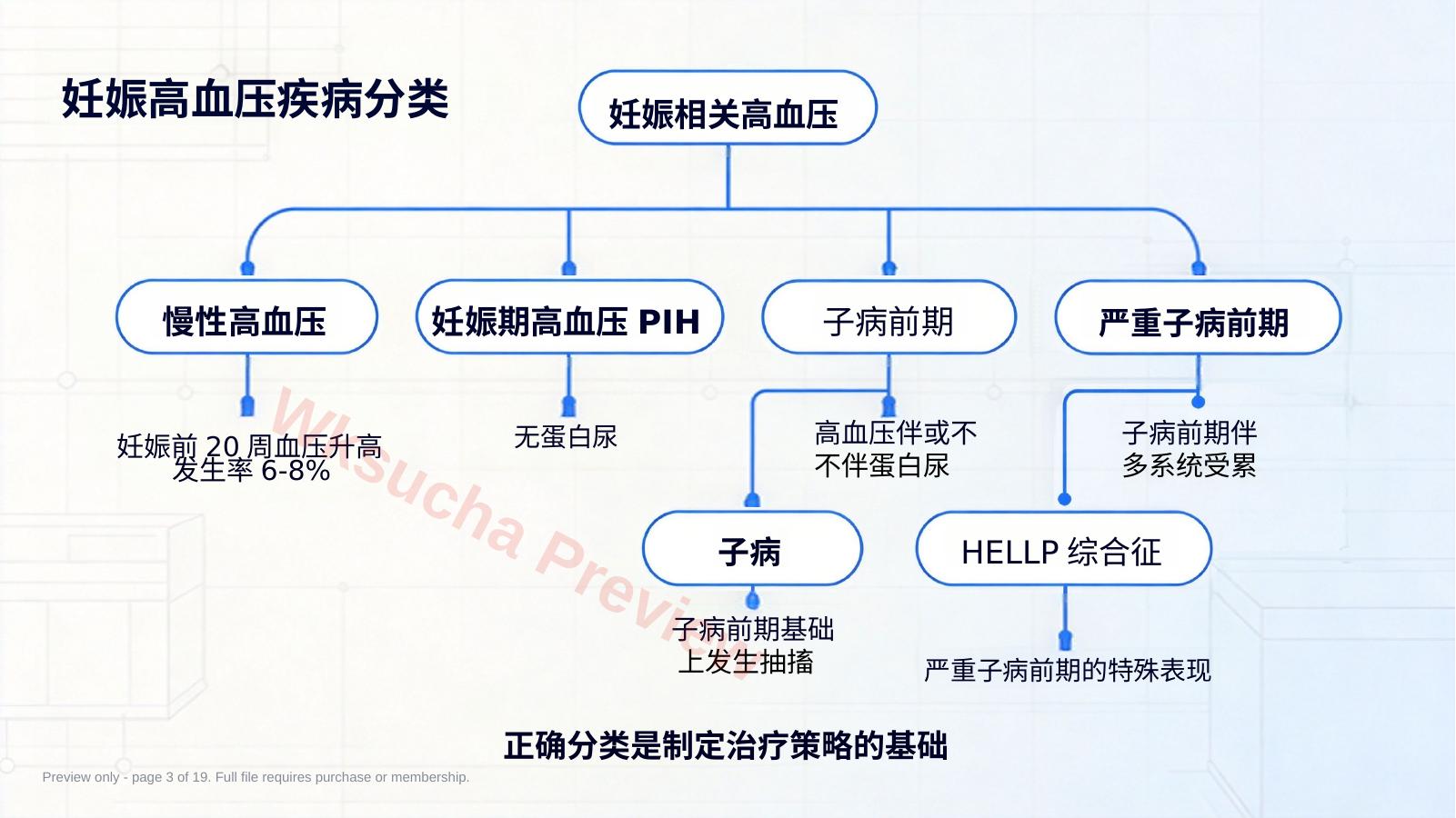 预览第 3 页