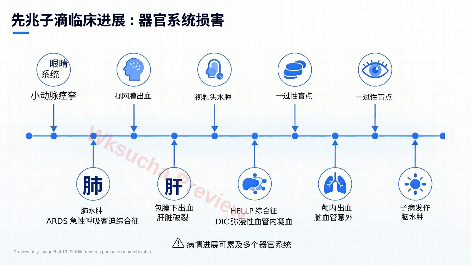 预览第 8 页