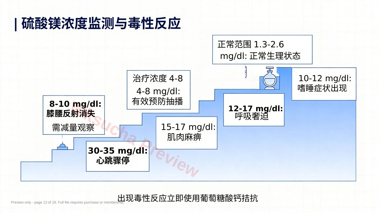 预览第 13 页