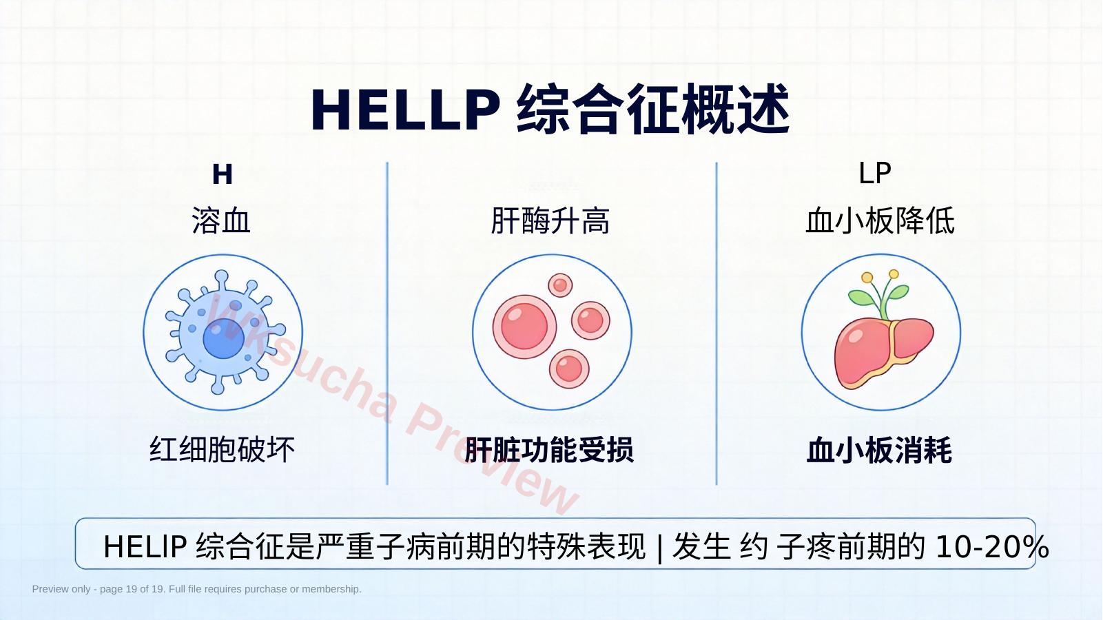 预览第 19 页
