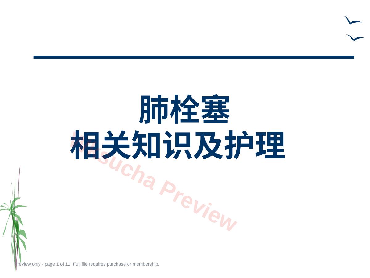 肺栓塞的治疗与护理