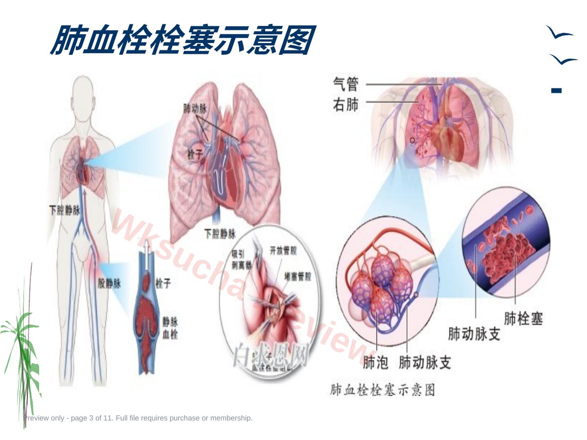 预览第 3 页