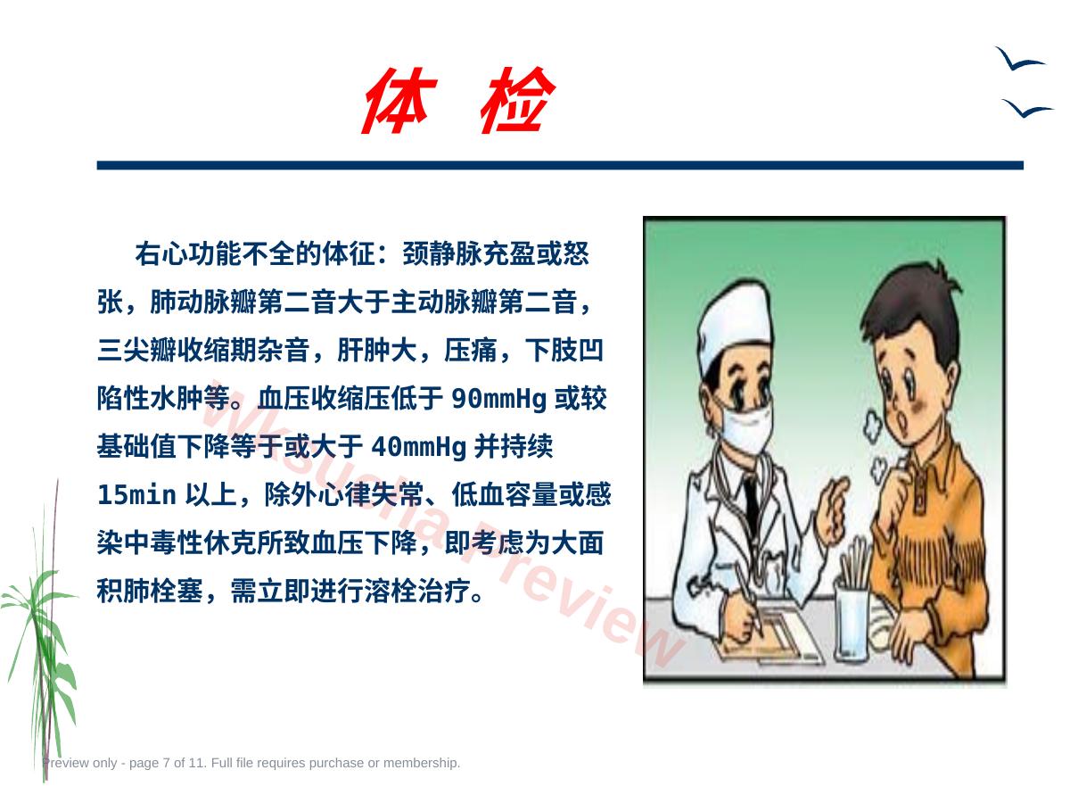 预览第 7 页
