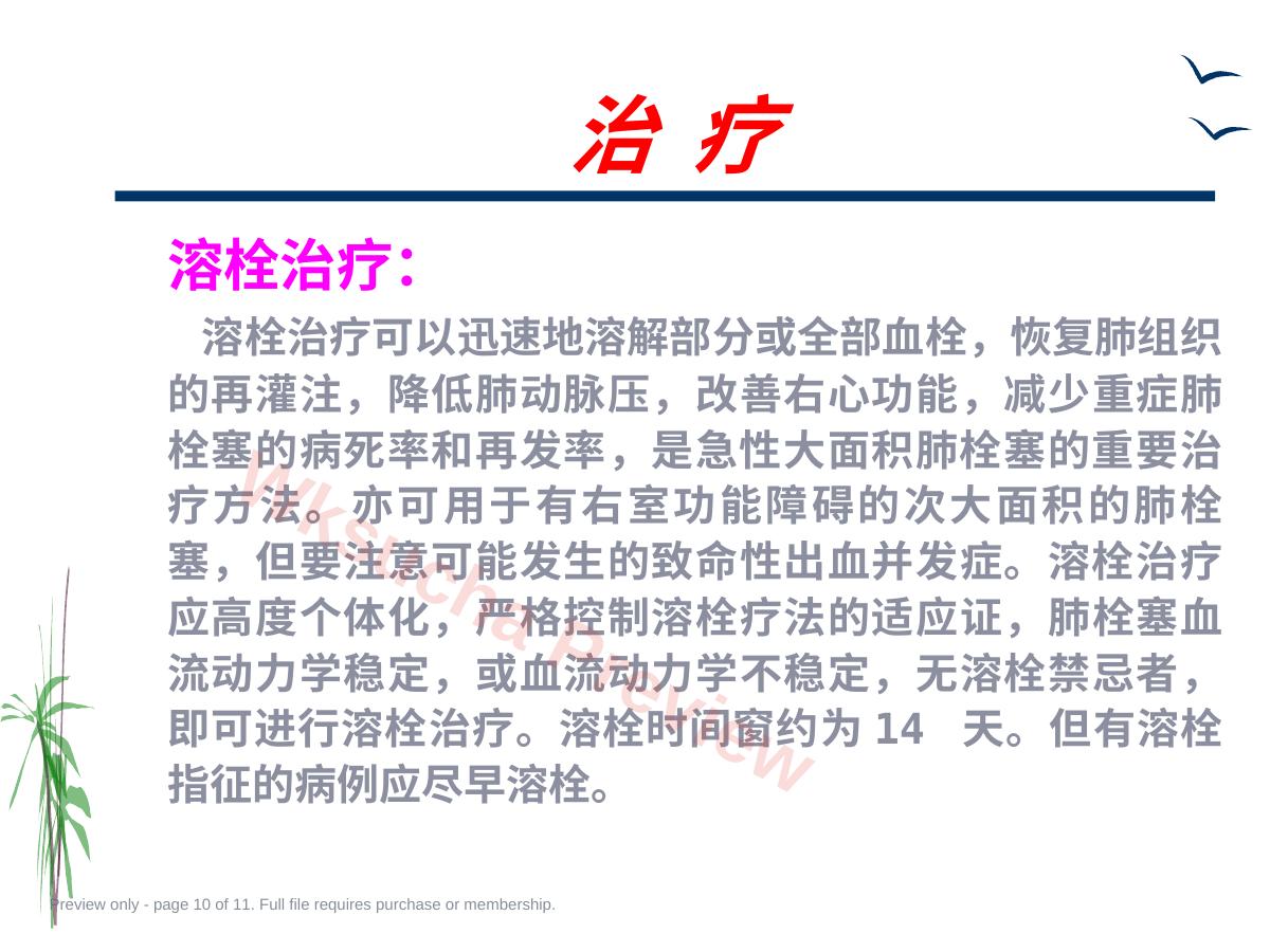 预览第 10 页