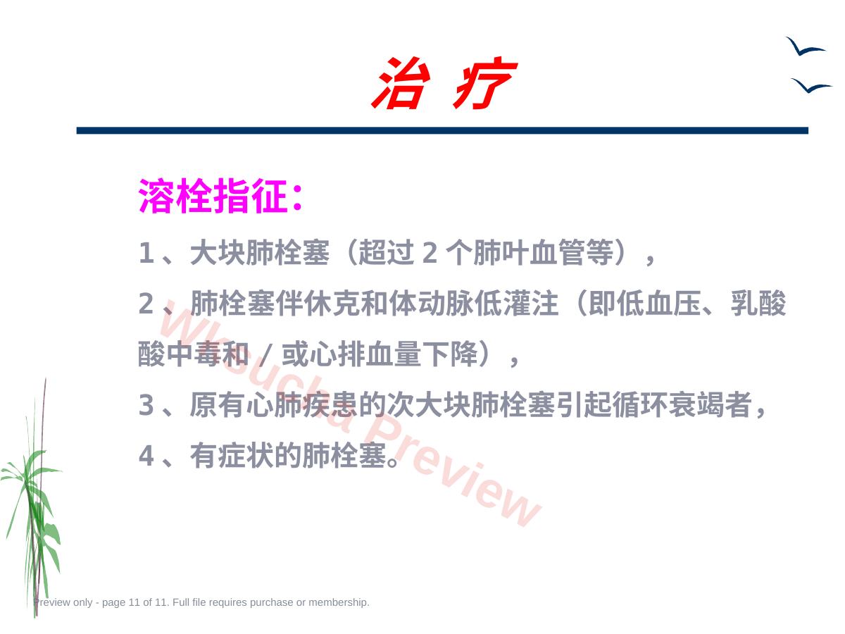 预览第 11 页