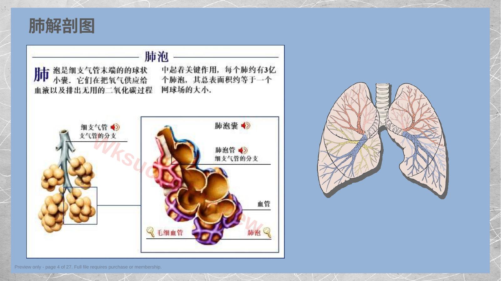 预览第 4 页
