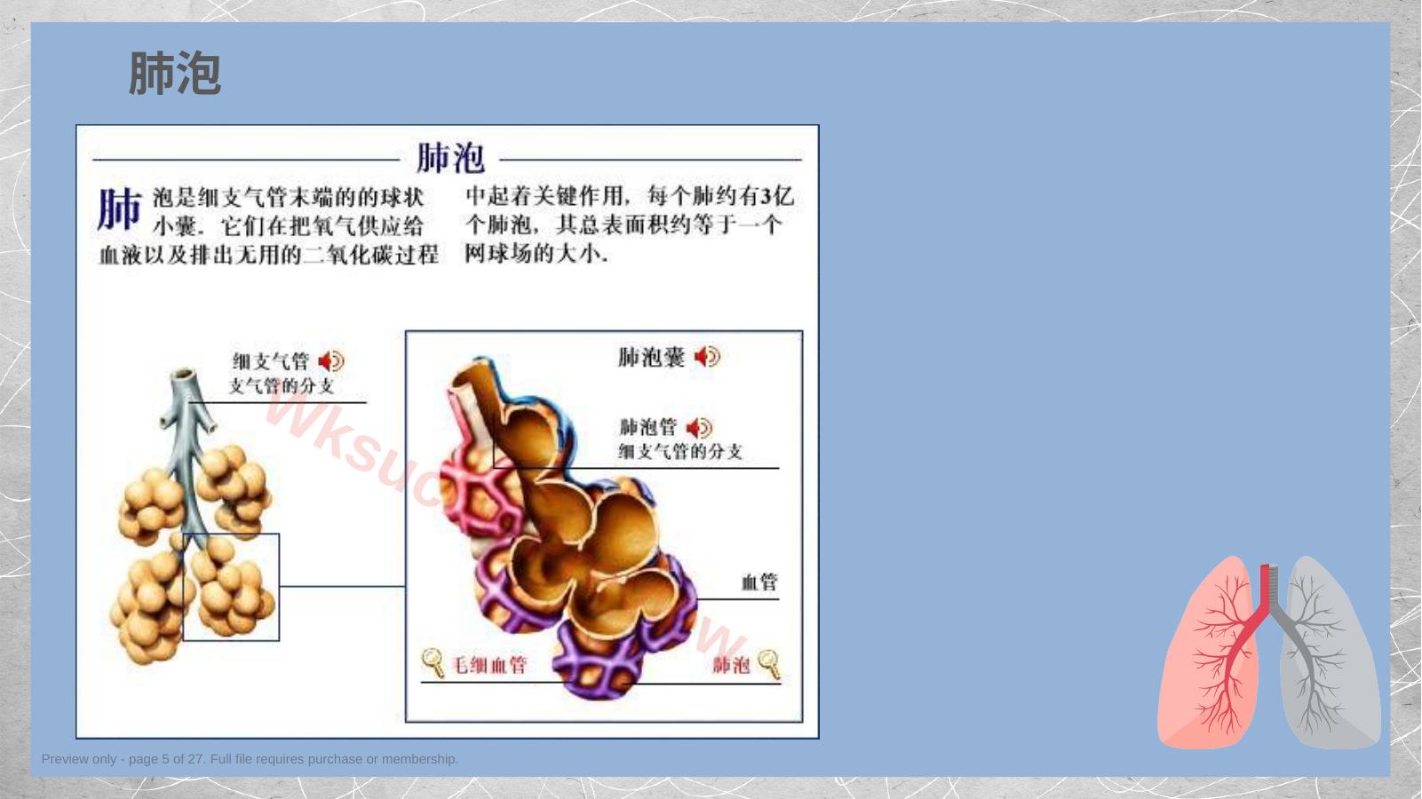 预览第 5 页