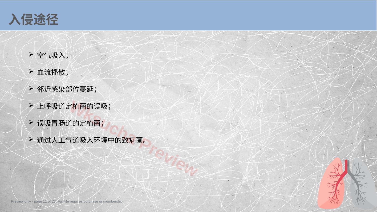 预览第 11 页