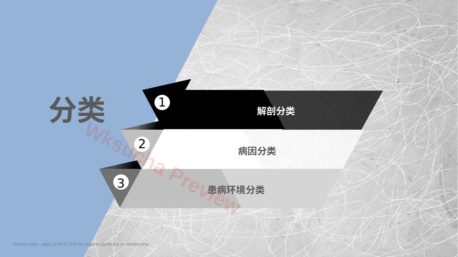 预览第 12 页