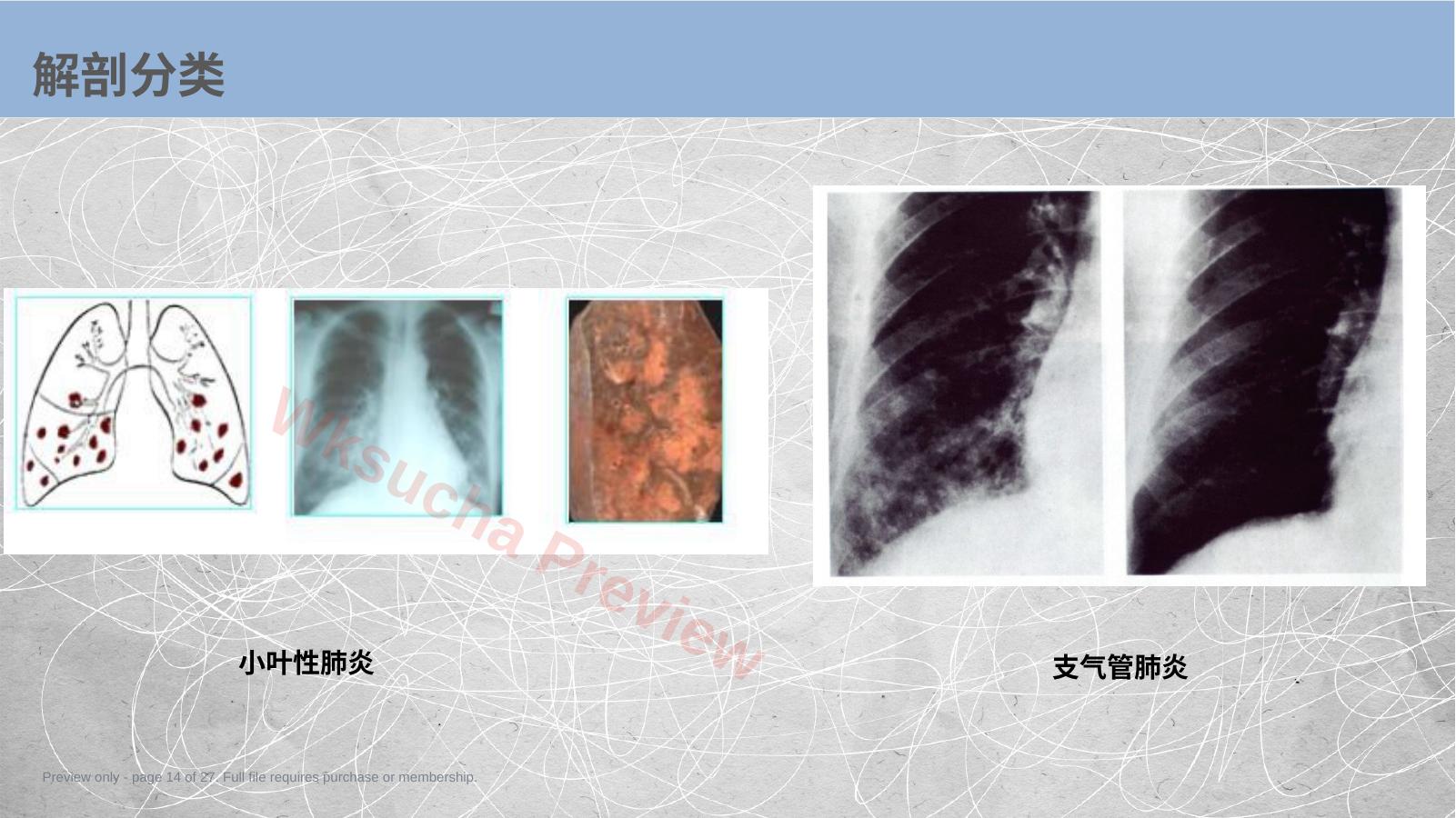 预览第 14 页