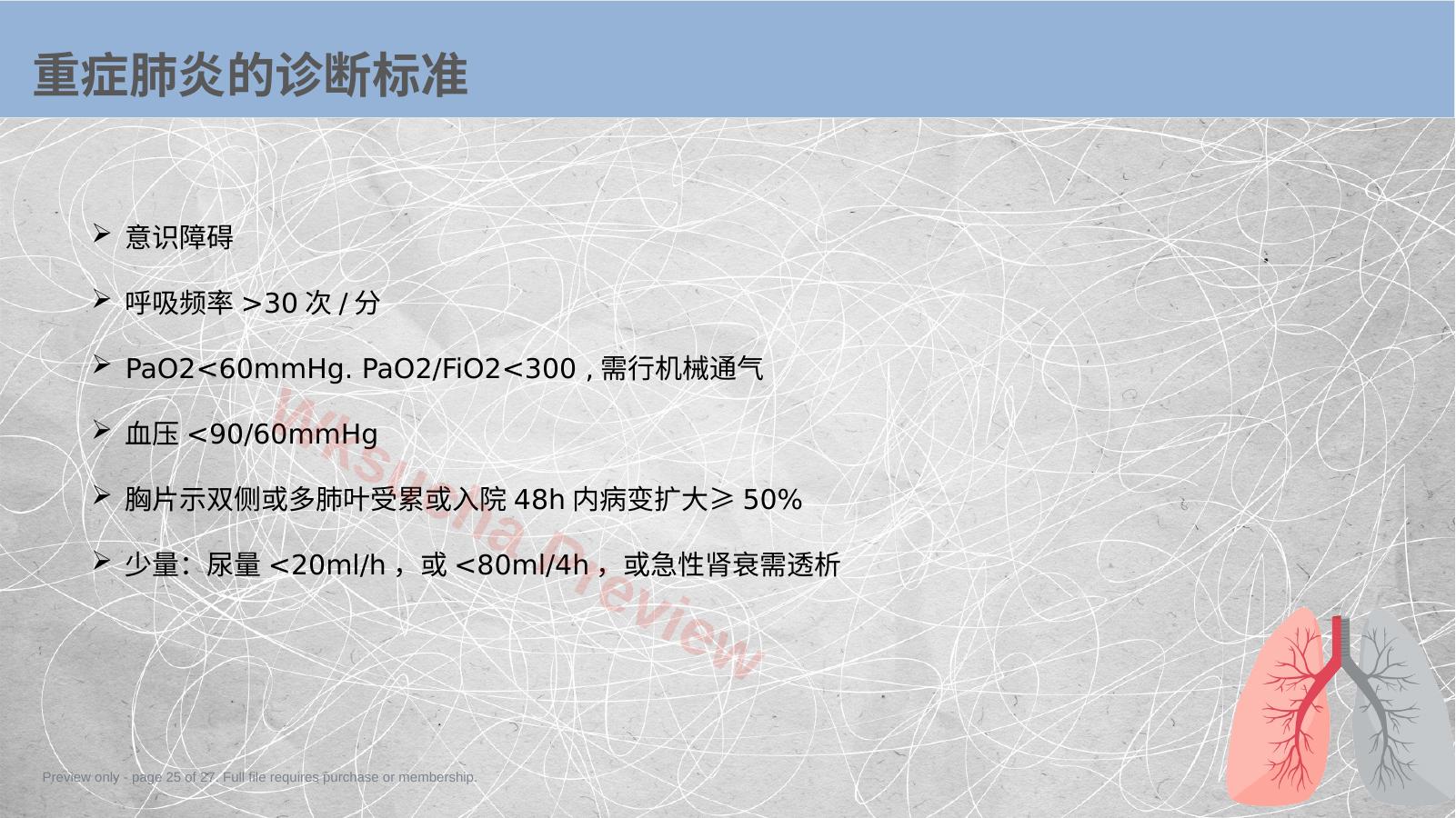 预览第 25 页