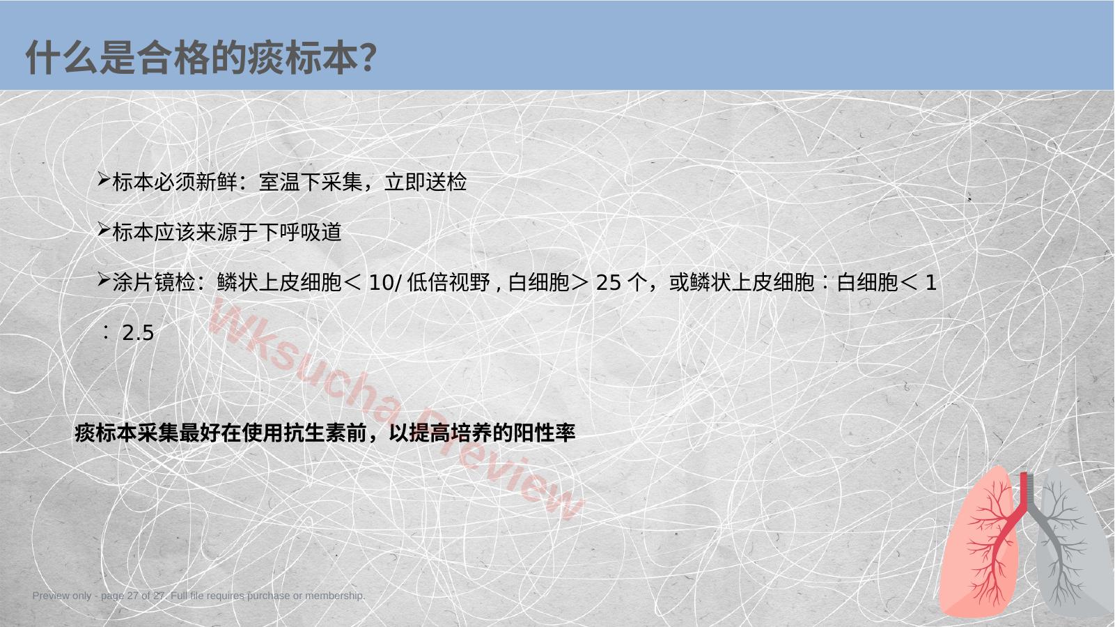 预览第 27 页