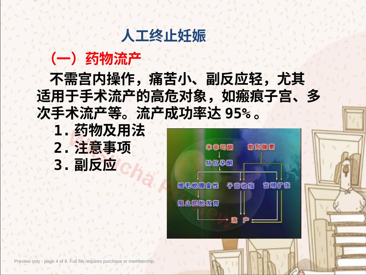 预览第 4 页