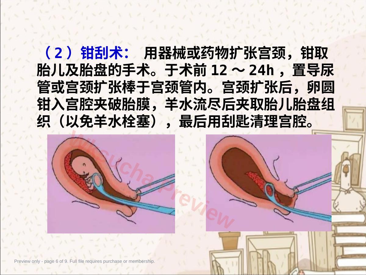 预览第 6 页