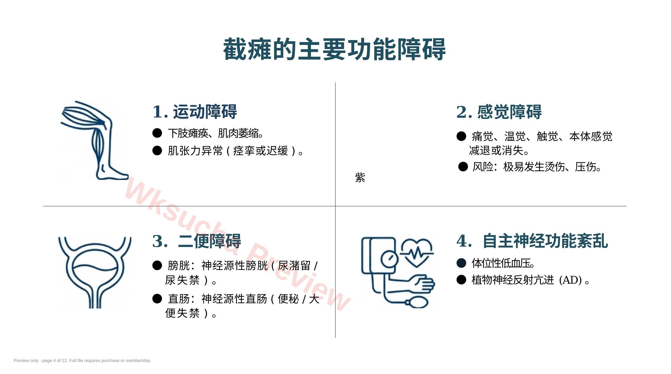预览第 4 页