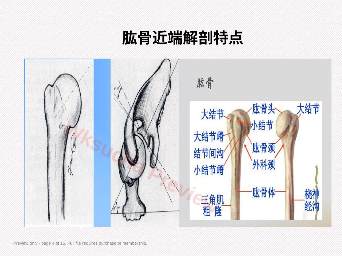 预览第 4 页