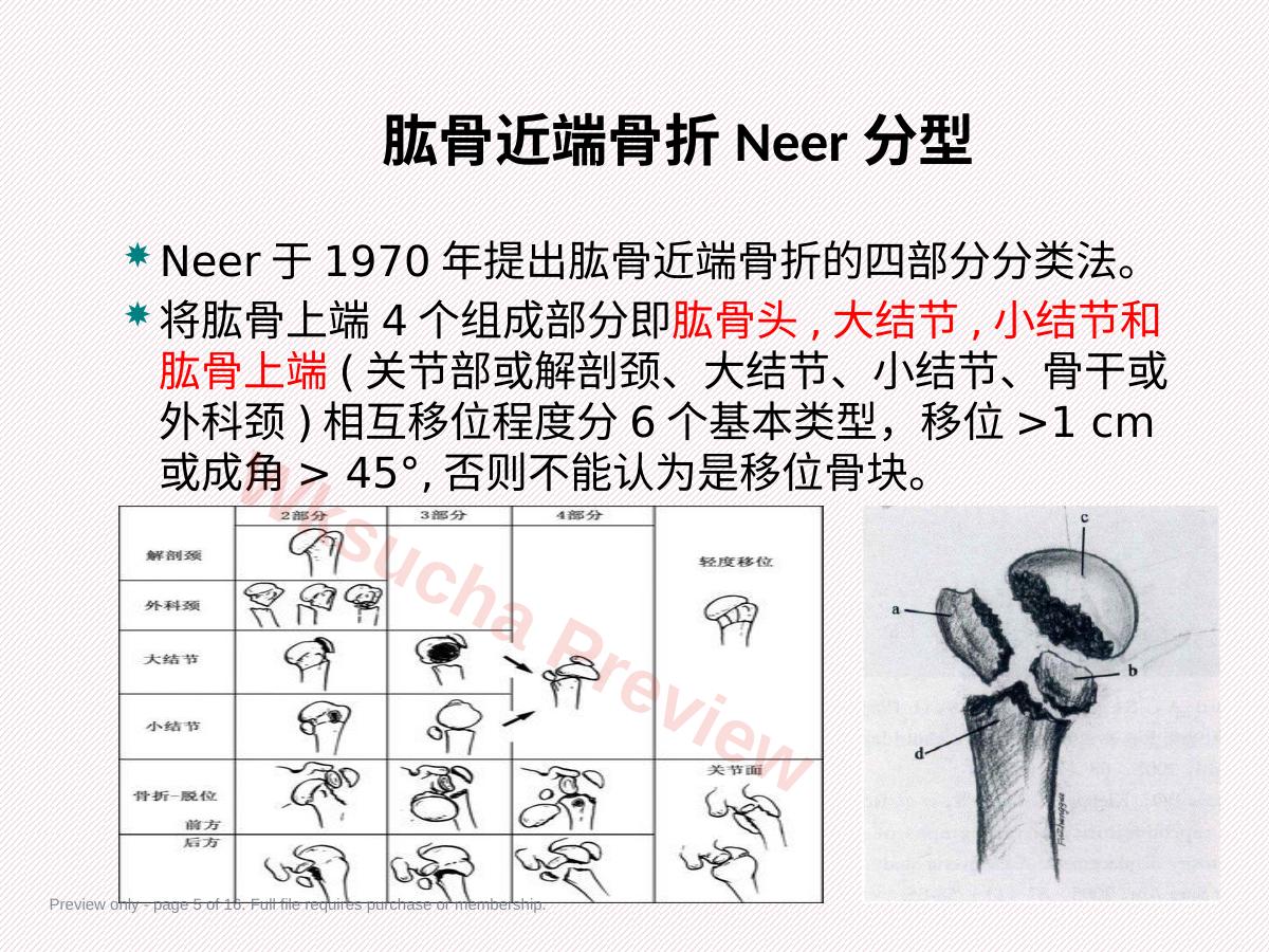 预览第 5 页
