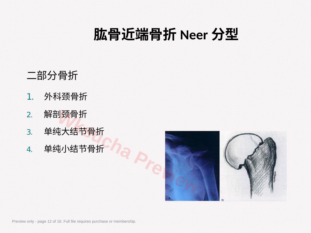 预览第 12 页