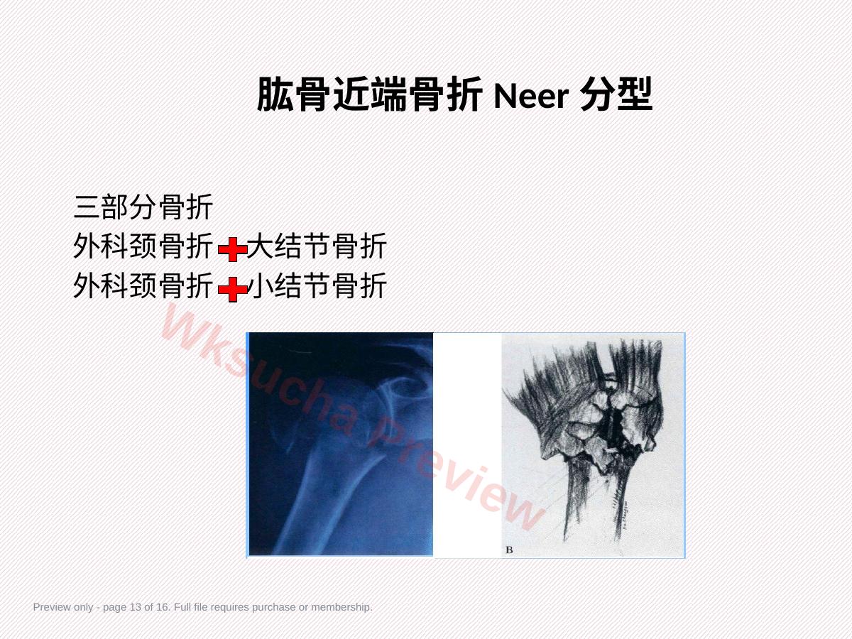 预览第 13 页