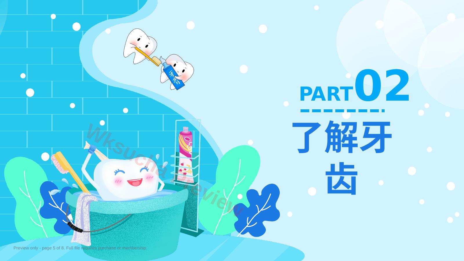 预览第 5 页
