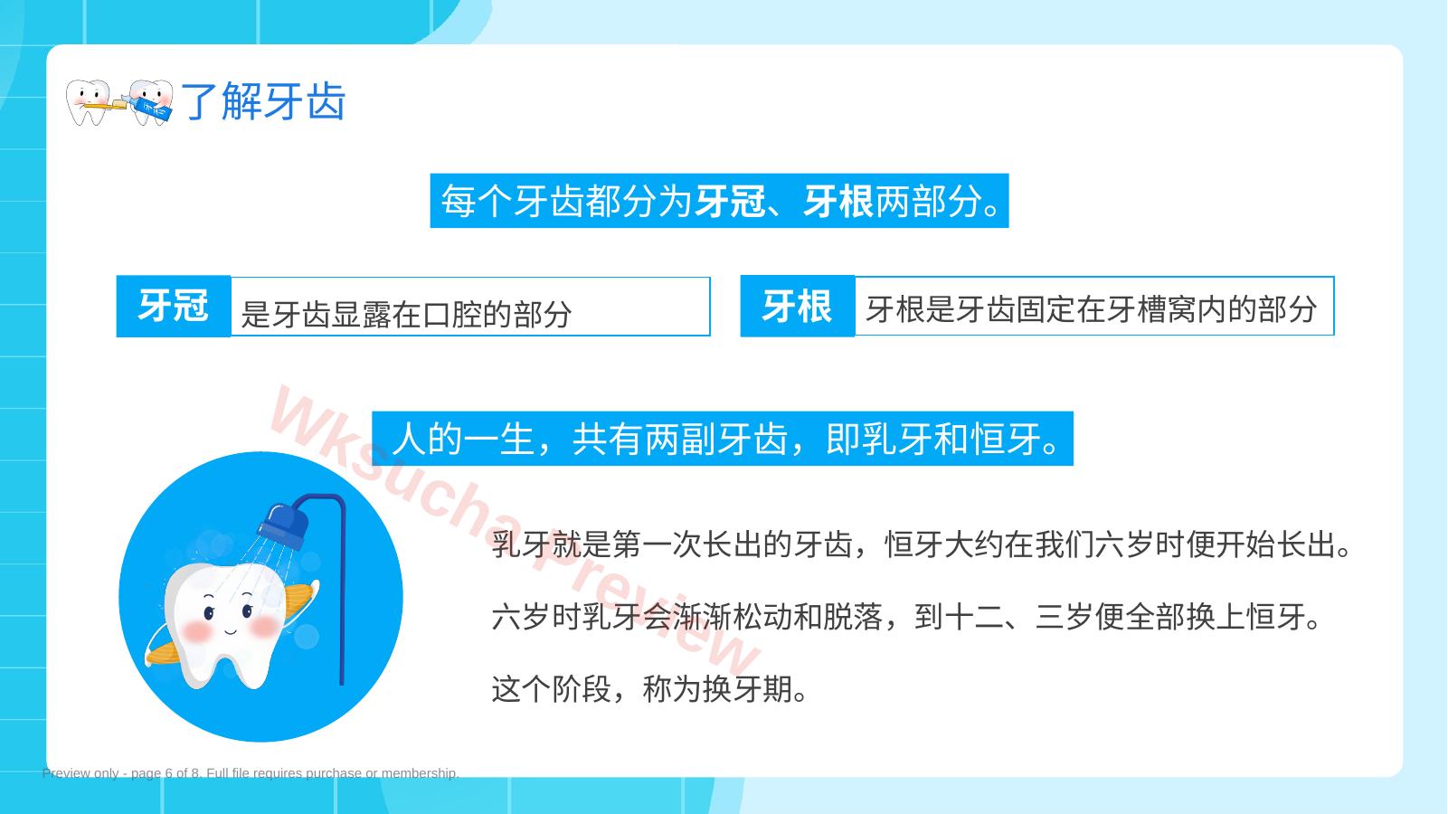 预览第 6 页