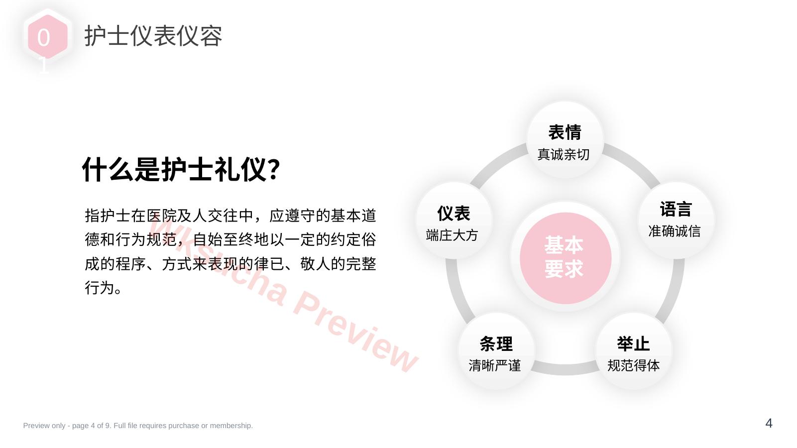 预览第 4 页