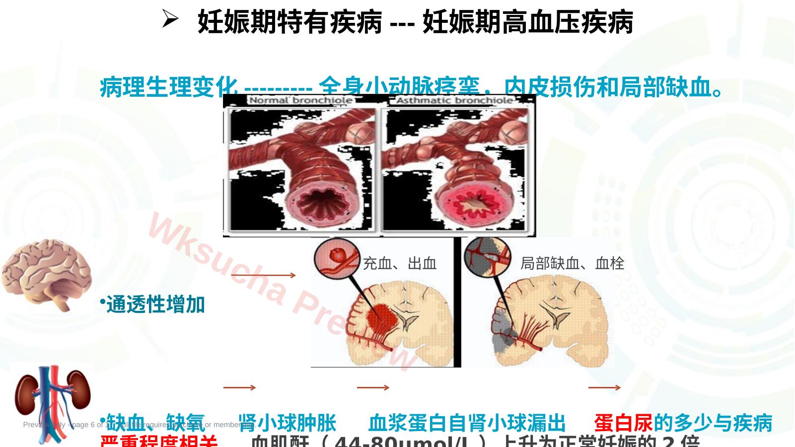 预览第 6 页