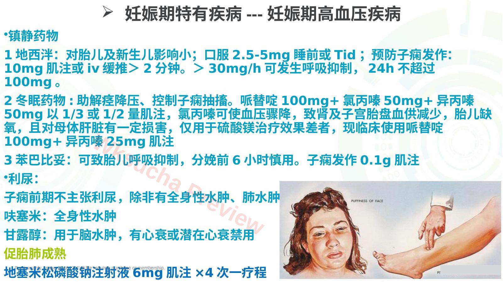 预览第 13 页