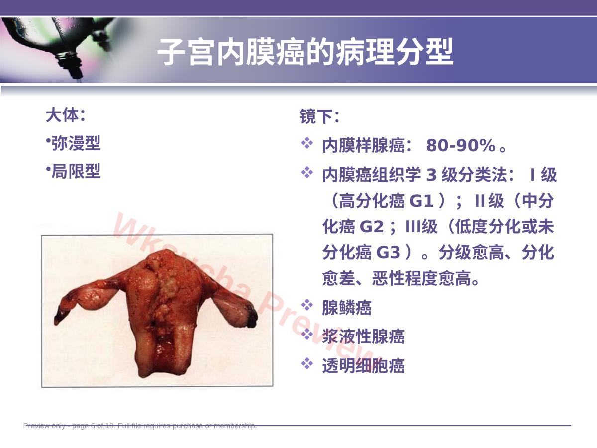 预览第 6 页
