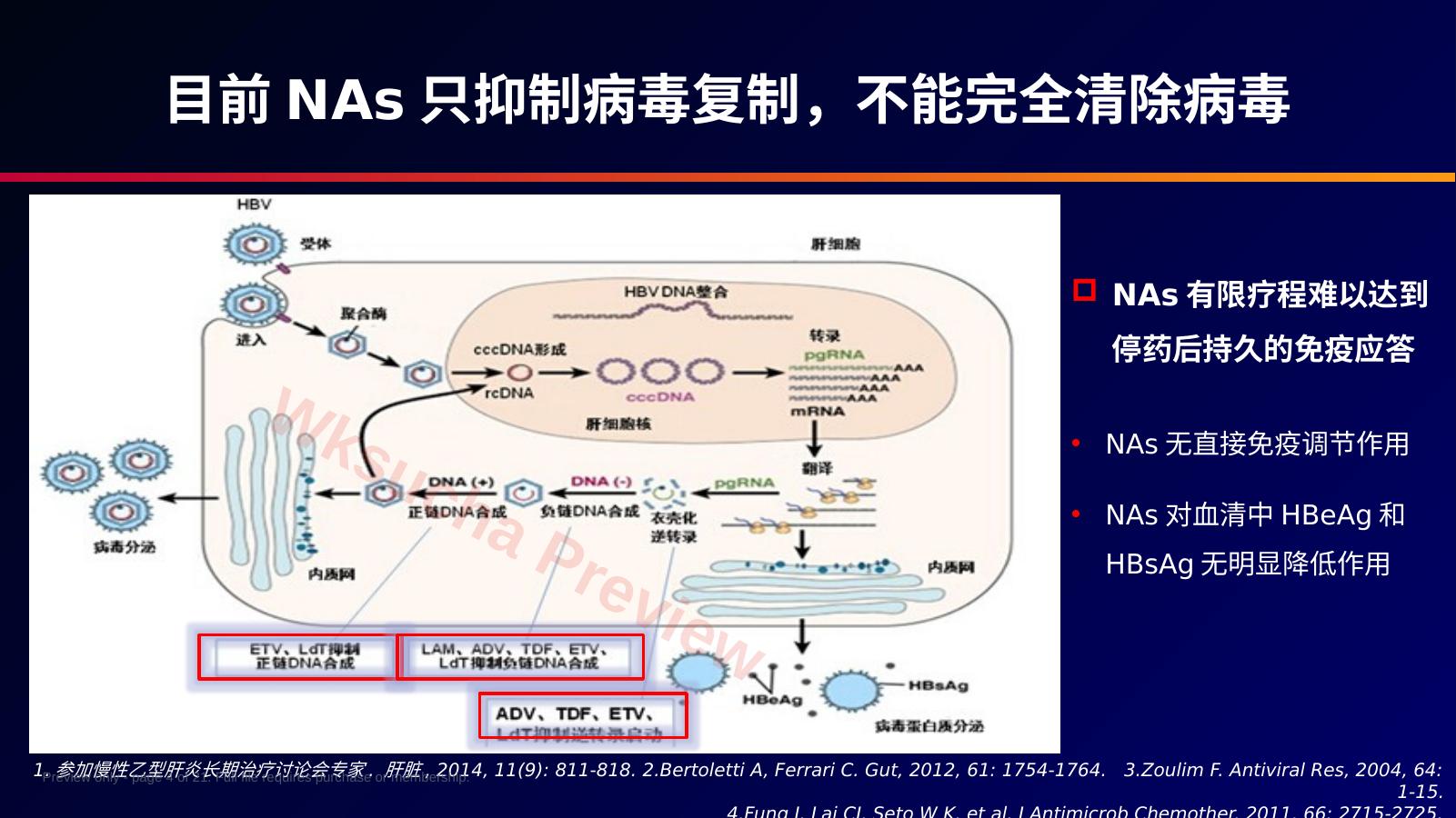 预览第 4 页