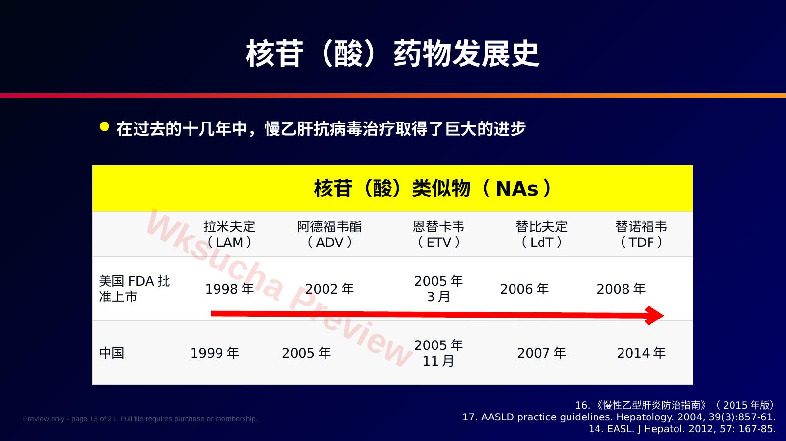 预览第 13 页