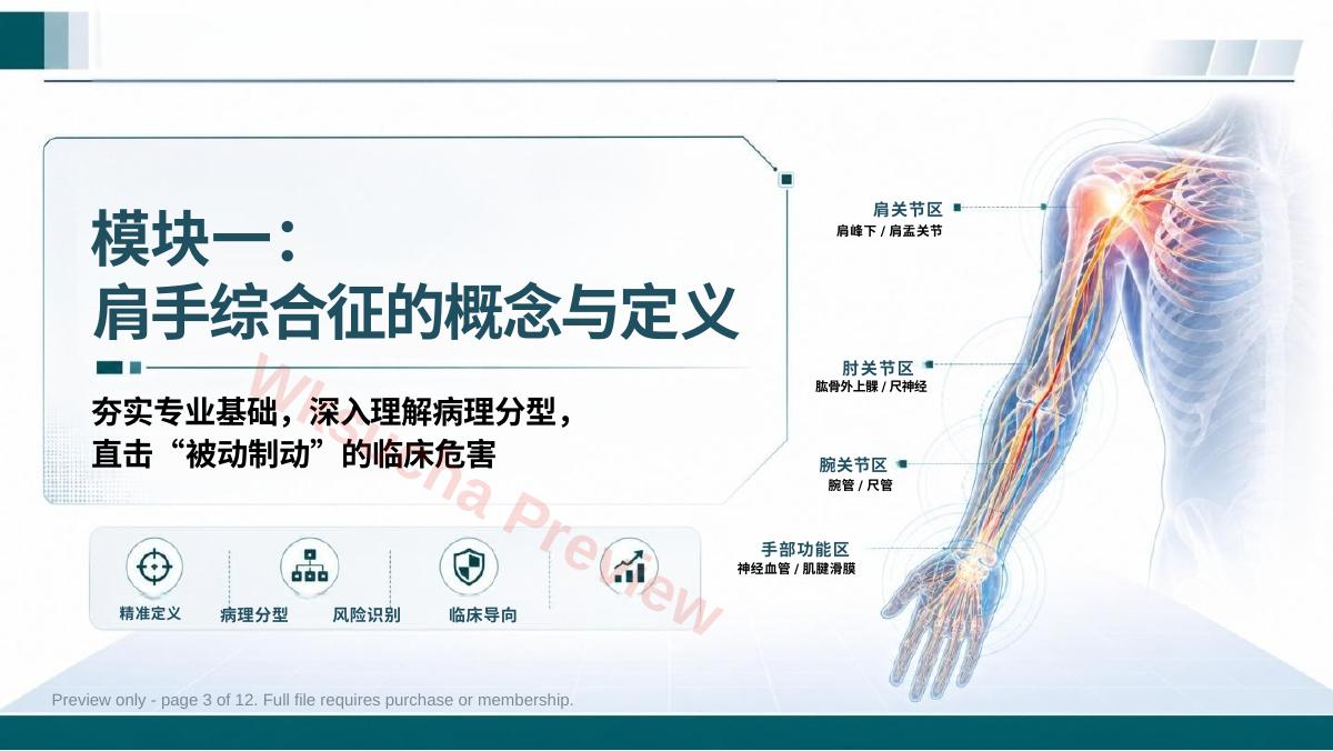 预览第 3 页