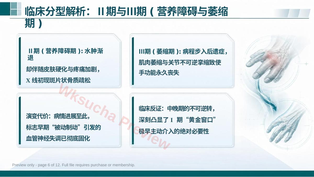 预览第 6 页