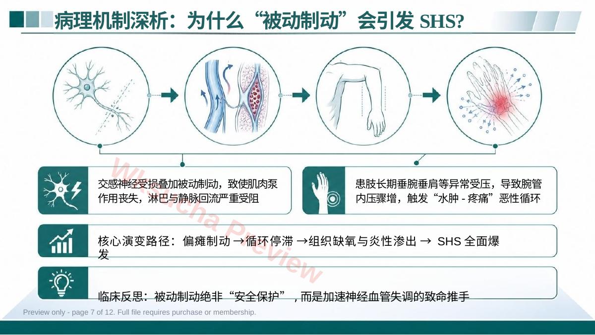 预览第 7 页