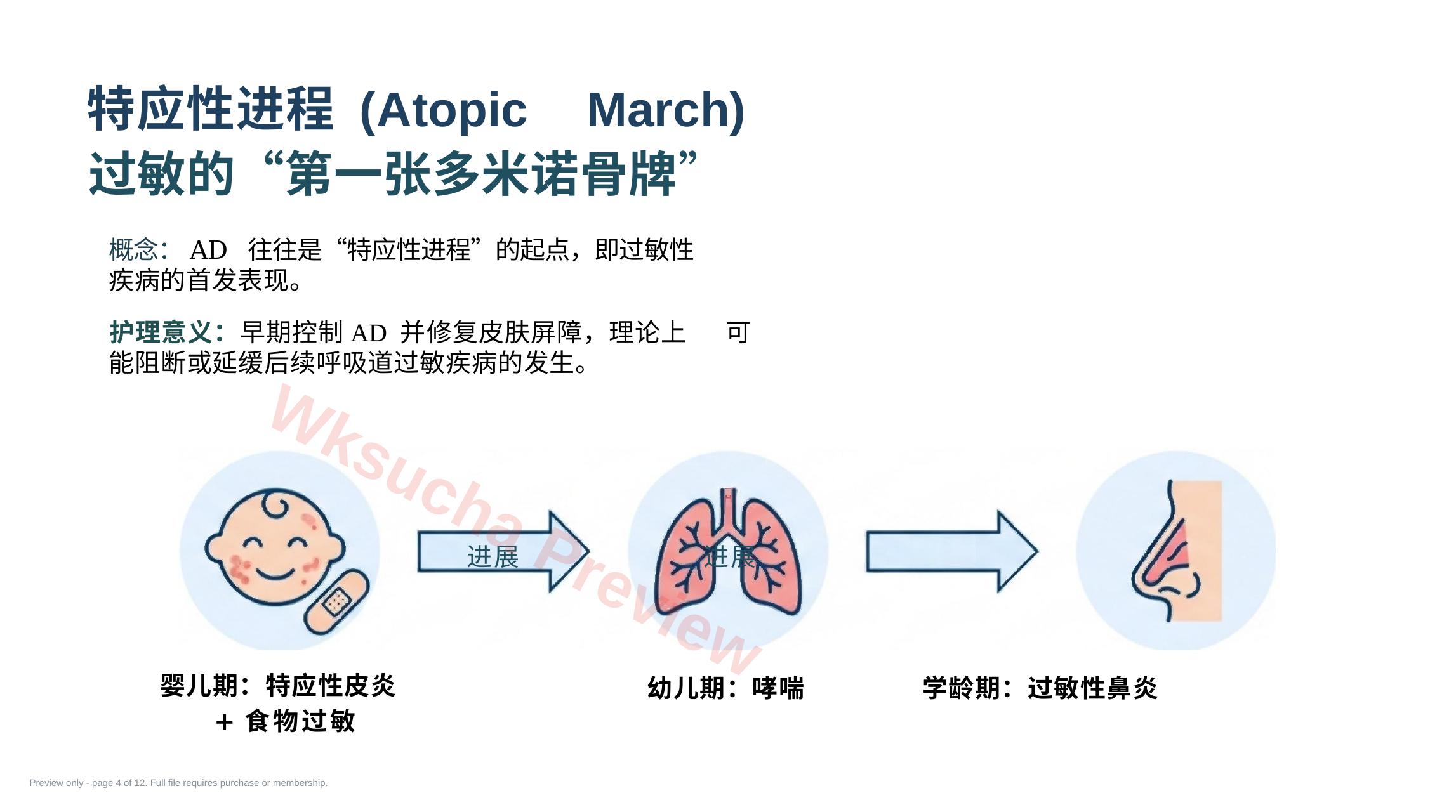 预览第 4 页