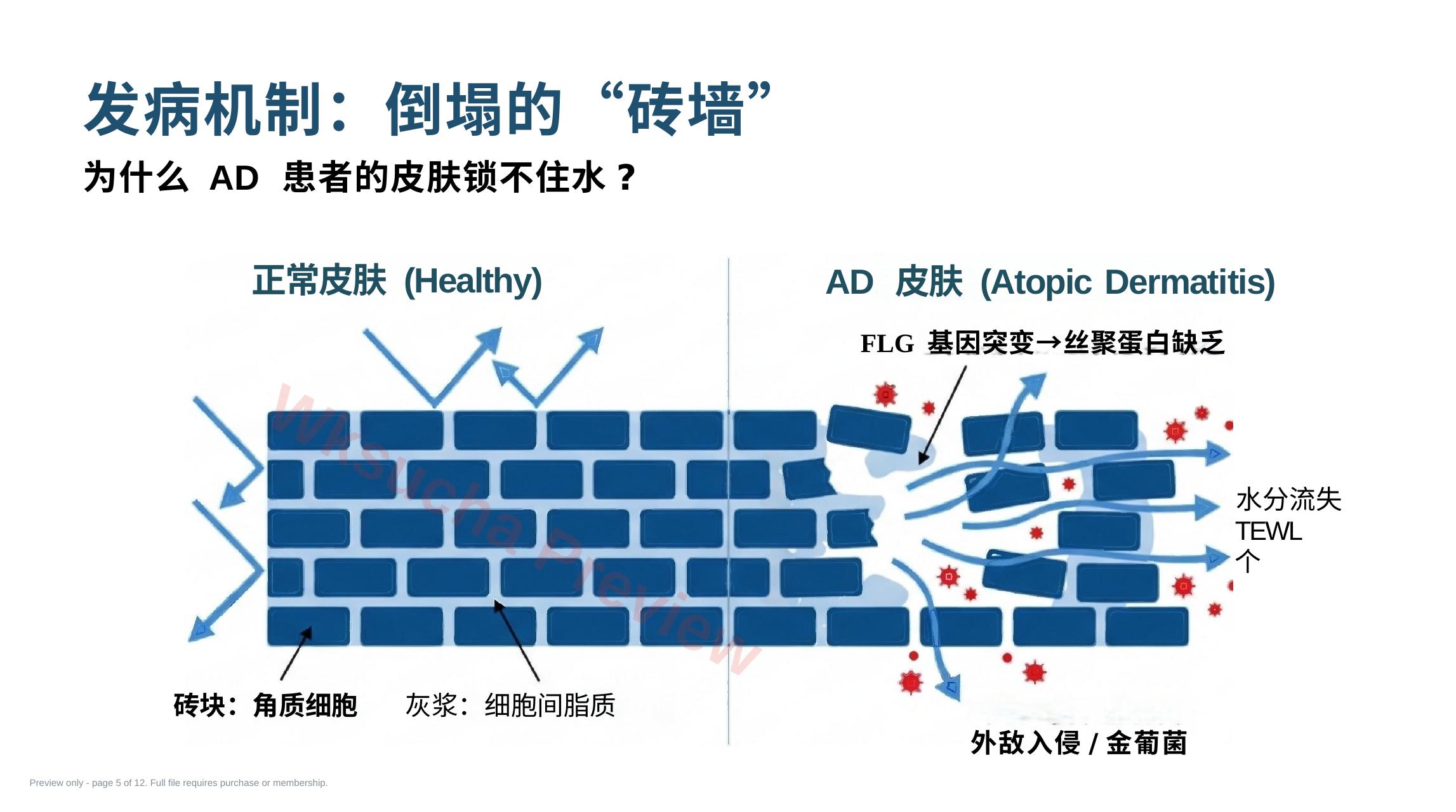 预览第 5 页
