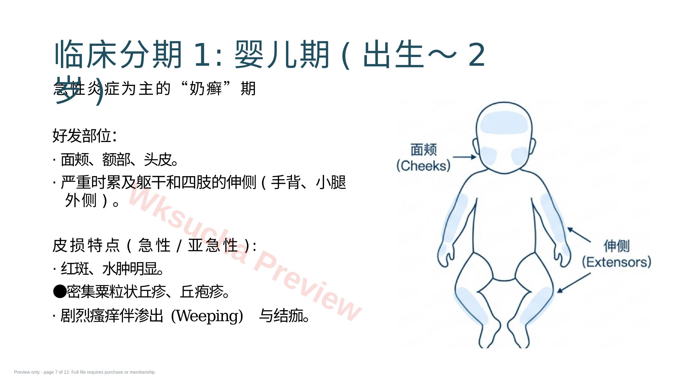 预览第 7 页