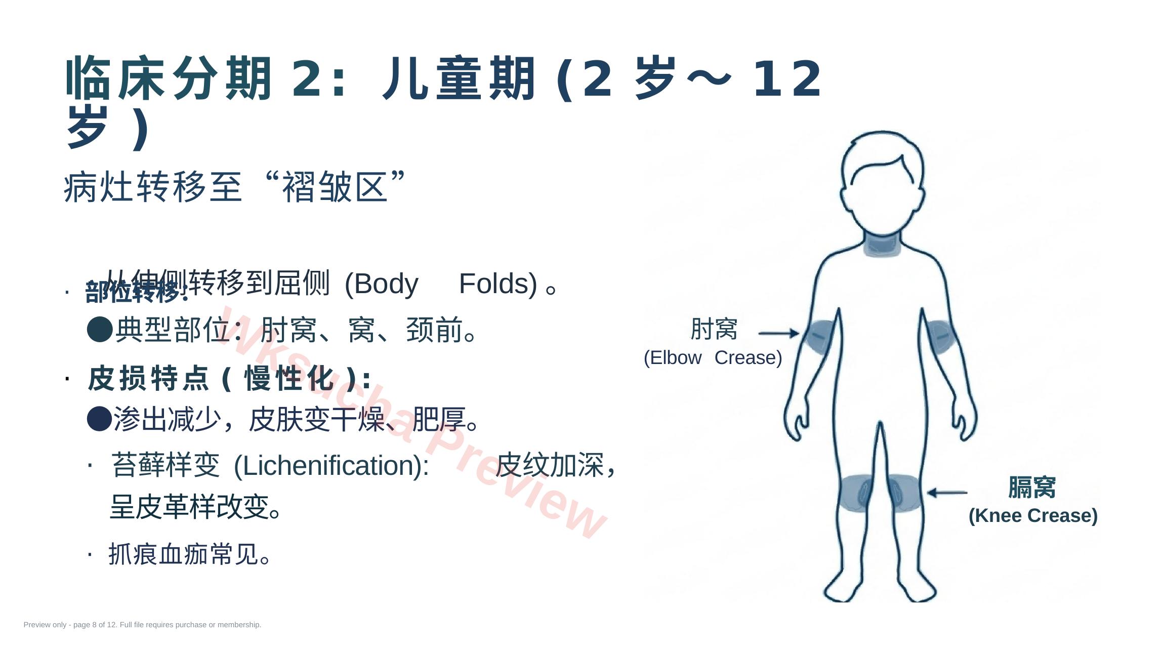 预览第 8 页