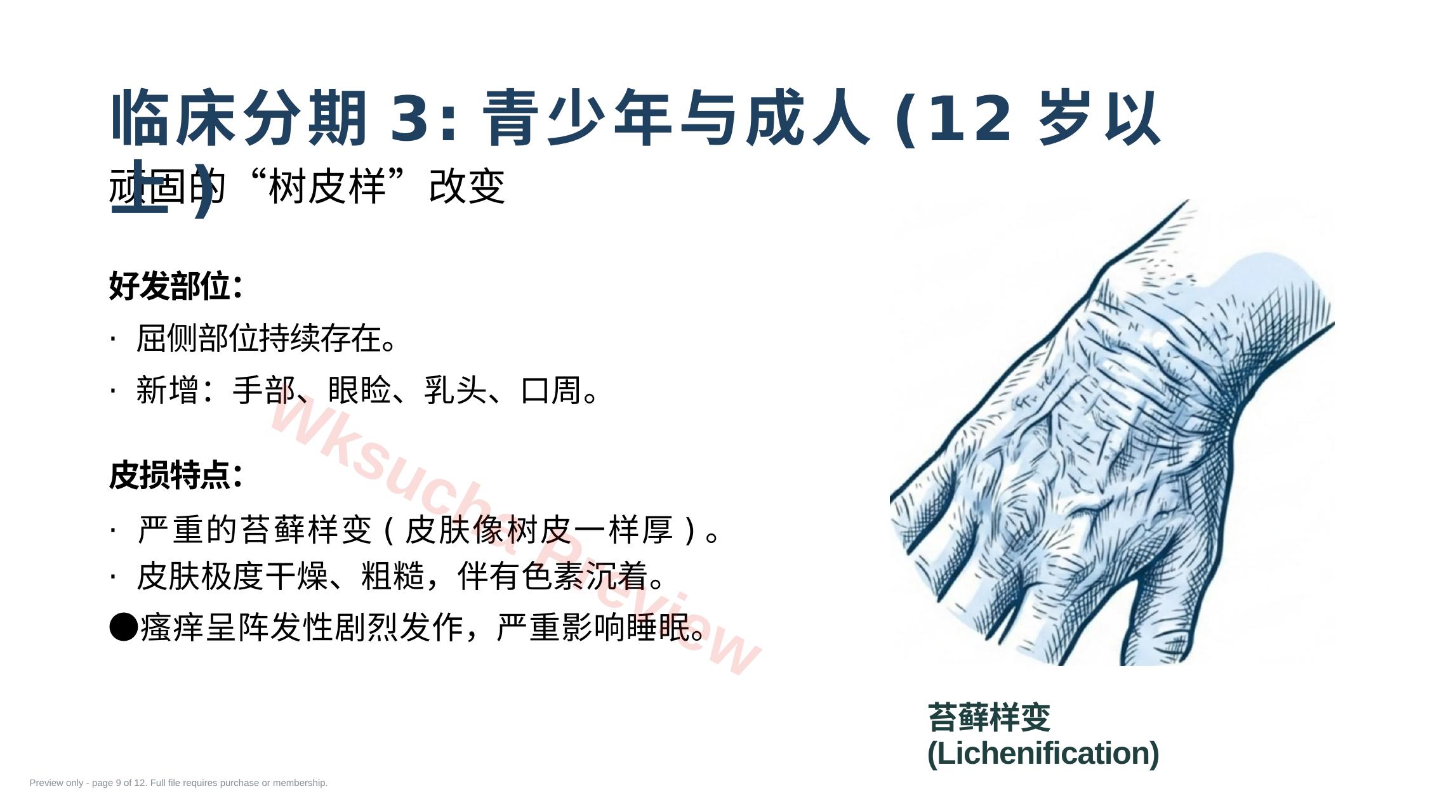 预览第 9 页