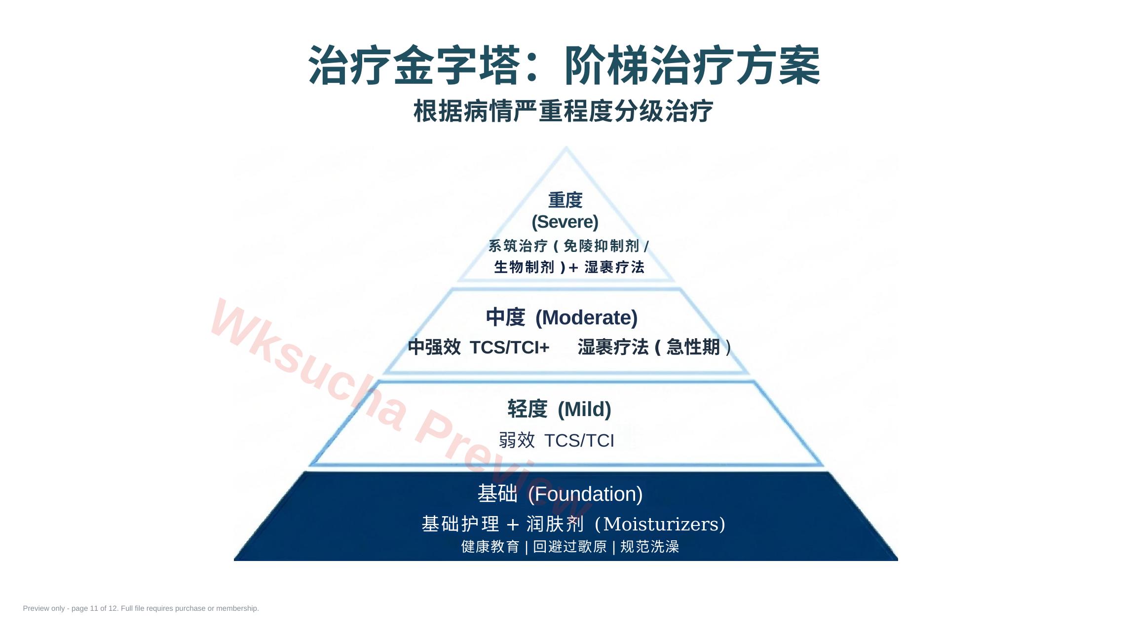 预览第 11 页